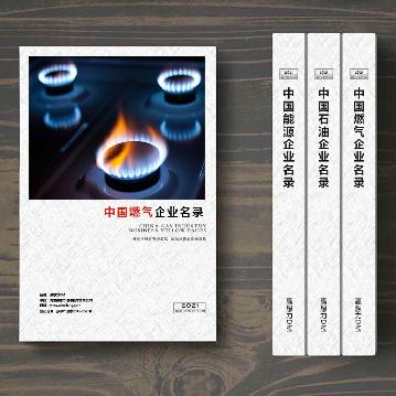 燃?xì)馄髽I(yè)精準(zhǔn)名錄